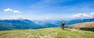 Campagna estiva Delfino sport 2