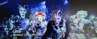 01 45 LakeLugano ParcoCiani Lugano