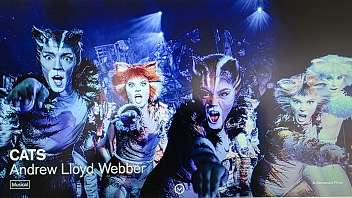 Musical Cats Lugano - Hotel Pestalozzi Lugano