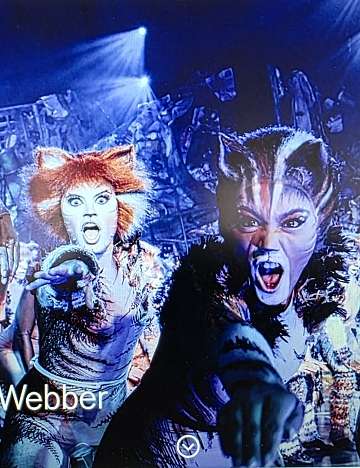 Musical Cats Lugano - Hotel Pestalozzi Lugano